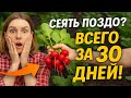 Сеять поздно? Не проблема! Эти 8 культур дадут урожай всего за 30 дней 🌱⚡