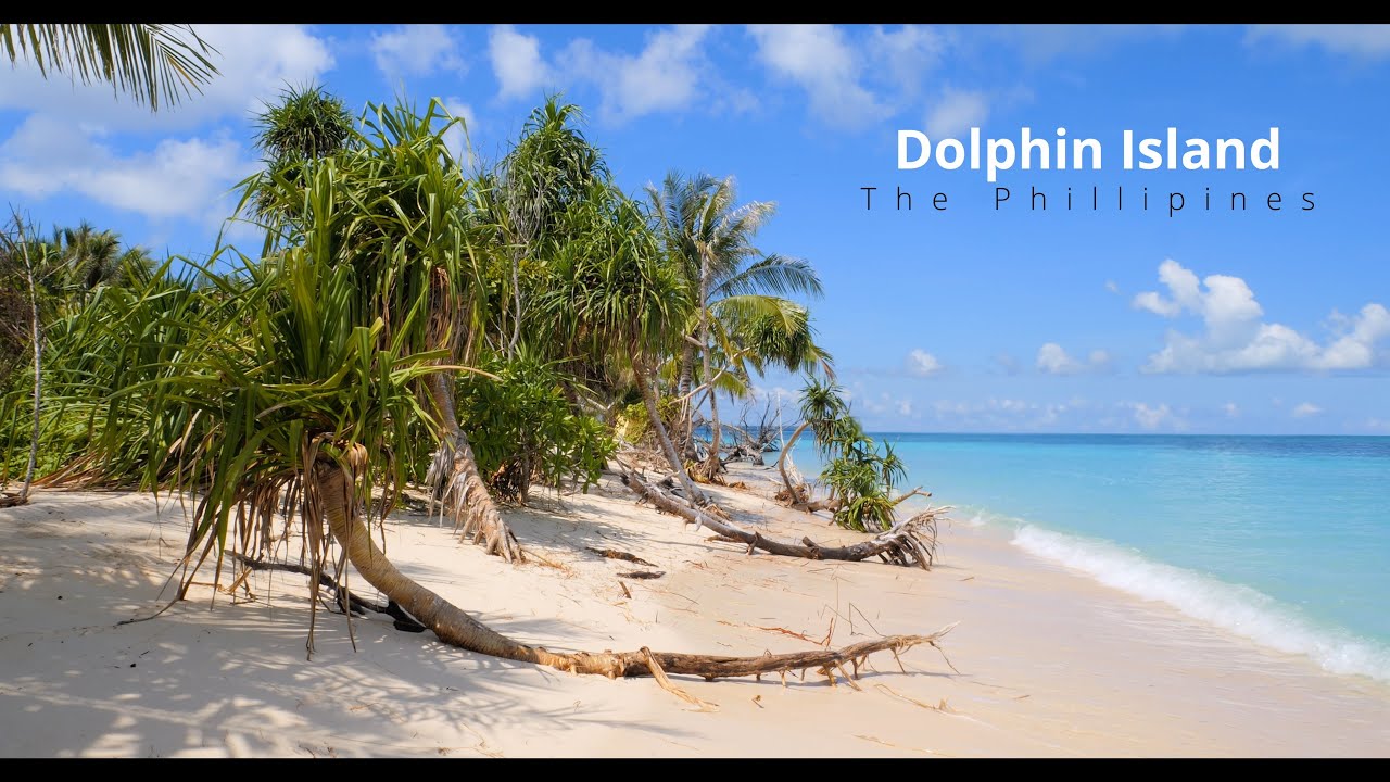 Virtual Walk | Tropical Island Special | 4K Virtual Hike with music