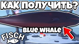 НОВАЯ КИТОВАЯ МИГРАЦИЯ, НОВЫЙ КВЕСТ, НОВЫЕ ЗАЧАРОВАНИЯ в Fisch | Roblox!