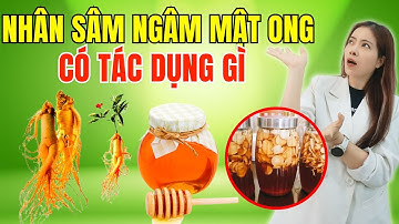 Nhân sâm ngâm mật ong có tác dụng gì? Uống sâm ngâm mật ong vào lúc nào là tốt nhất?| Đỗ Ngọc Diệp