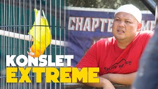 Download Lagu AKSI LOVE BIRD KONSLET EXTREME ‼️ GAYA PALING NGERI - PIALA TAHU SUMEDANG MP3