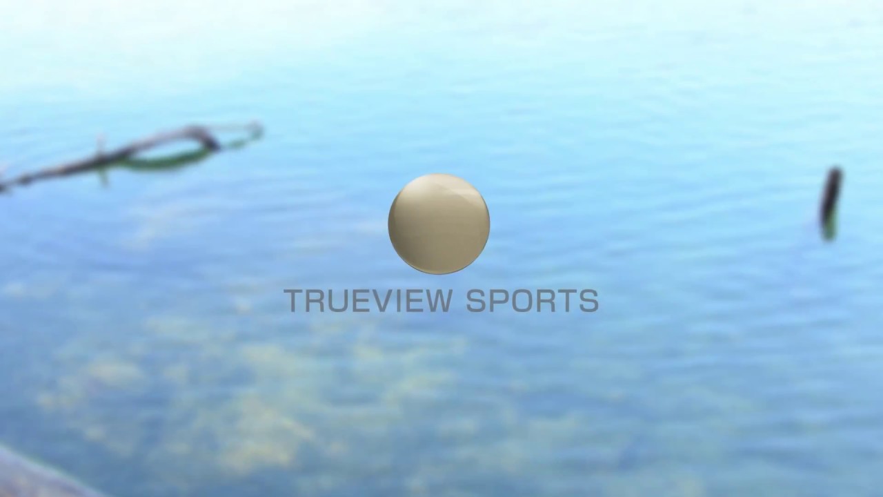 偏光サングラス 釣りにおすすめな色の選び方と人気ブランド5選 Hajimeのバス釣りブログ