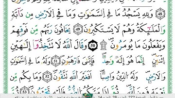 الشيخ يوسف نوح احمد _الازرق برواية ورش عن نافع سورة النحل