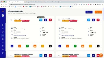 how to generate a Google Business Profile audit?