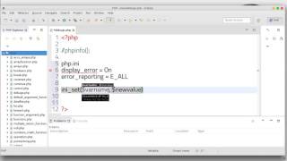 94 PHP scripting language debug environment