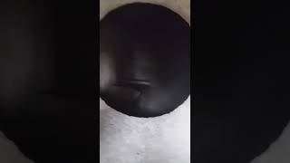 boiler soot blower