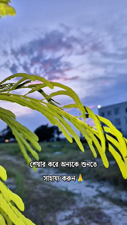 তিন বার পড়ুন অথবা শুনুন..!! 🙏🤔🤔 #viralreelsシ #ytshorts #sbbulbulbadsha #surah