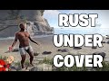 What happens when i try to play rust with a cheater