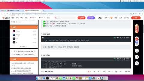 Python 人物动作视频行为分析完整代码案例（基于深度学习 + OpenCV）