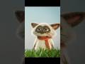 3DCGで作った猫を動かしてみた #3d #animation #blender
