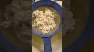 Dumanı Üzerinde Bebek Loru Resimi