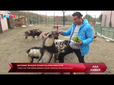 Muş’ta devlet eliyle