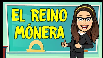 ¿Que hay en el reino Monera?