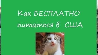 КАК БЕСПЛАТНО ПИТАТЬСЯ В США(Мы ходим за едой сюда - https://www.cssalaska.org/get-help/ Все службы в Анкоридже, которые помогают с едой - http://www.suntopia.org/anchora..., 2016-11-23T03:42:25.000Z)