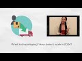 Best dropshipping supplier in India for 2024 | Snazzyway |