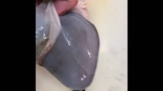 タコの肝を調理してみたw