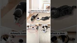 POV: Your cat just found their new favorite toy 🐱🔥 #amazon #cat #amazonfinds