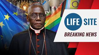 BREAKING | Cardinal Sarah: ‘Gender ideology’ and ‘Islamic fundamentalism’ are ‘apocalyptic beasts‘