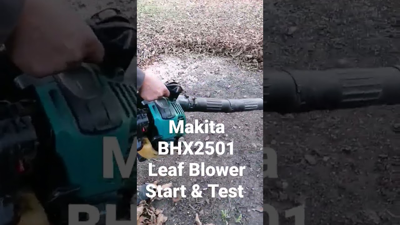 uvidenhed jeg behøver Savant Makita BHX2501 4 Stroke Petrol Leaf Blower #bobthetoolman #makita  #makitatools #makitauk #shorts - YouTube