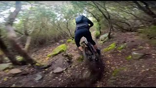 Elba Mountain Bike: Experience - Shuttle - Guida | Elba MTB