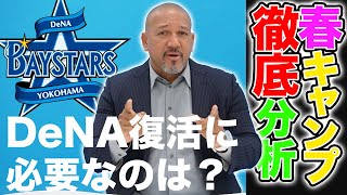 【DeNA春キャンプ】今年の課題はクローザーとキャッチャーにあり！！前監督のラミちゃんがガチ分析【ラミちゃんのプロ野球分析ニュース#36】