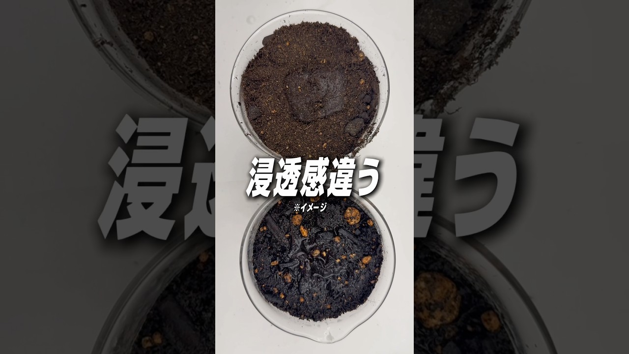 美容液の前はこれ！スキンケア成分の浸透量2.2倍のクレンジン