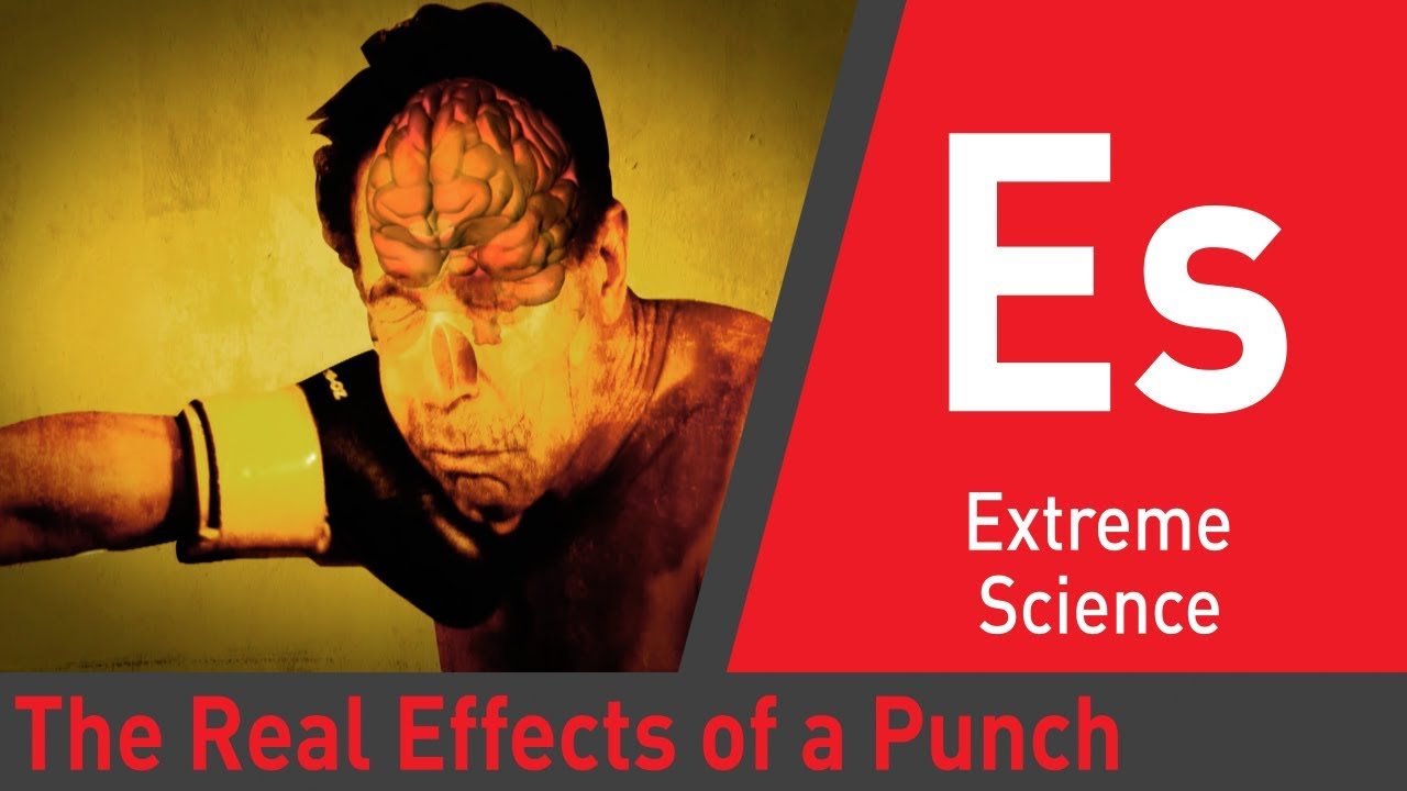 What Really Happens To Your Body When You Get Punched Evil Knows what-really-happens-to-your-body-when-you-get-punched-evil-knows