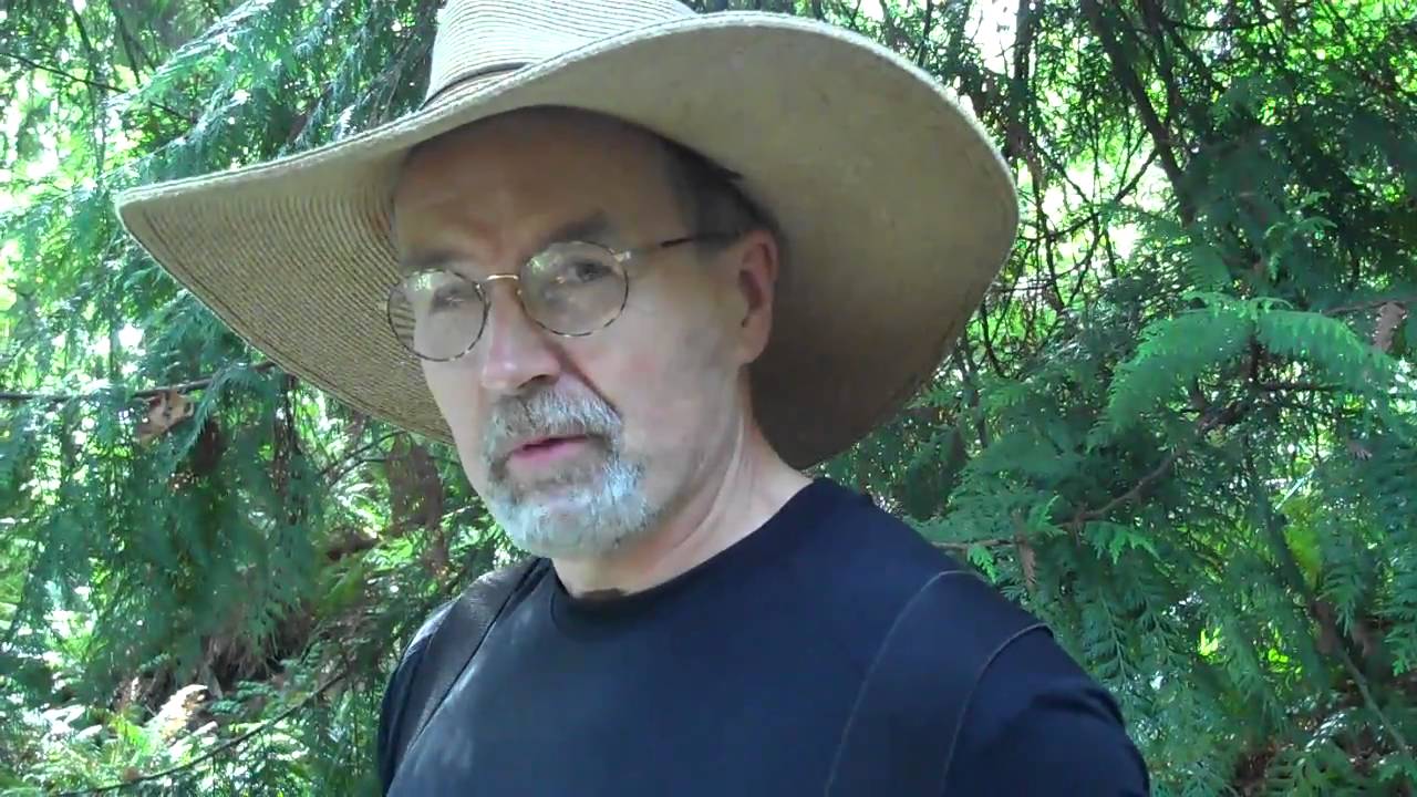 Super forest monitor