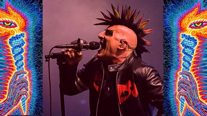 Maynard Does 'The Grudge' Scream After 20 Year Hia...