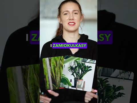 Wideo: O czym mówią rośliny?