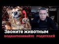 Звоните животным, подкармливайте родителей.