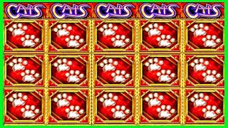 ★★JACKPOT HANDPAY★★$300 BETS★★CATS HIGH LIMIT SLOT MACHINE BUENO DINERO MUSEUM SLOTS IGT screenshot 3