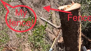 Crispy dead oak removal part 2, I nicked the fence! Better the fence than the power line!