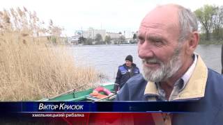 картинка: У Хмельницькому дві тонни риби випустили просто у Південний Буг