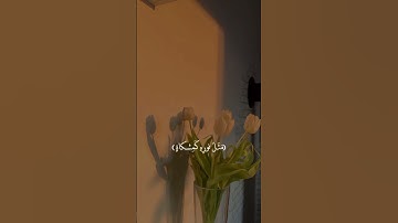 سورة النور بصوت شريف مصطفى