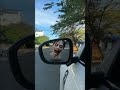 She Saw a Giant Ghost Head in Her Mirror 😱👻 #shorts