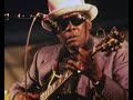 Capture de la vidéo John Lee Hooker (7-15-89)