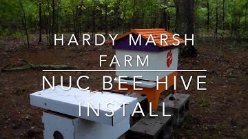 NUC Bee Hive Installs