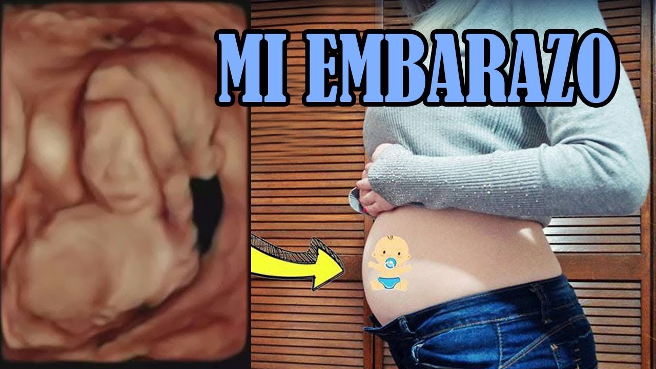 ¿Cómo supe que estaba embarazada? | Storytime | Mi experiencia 5 meses