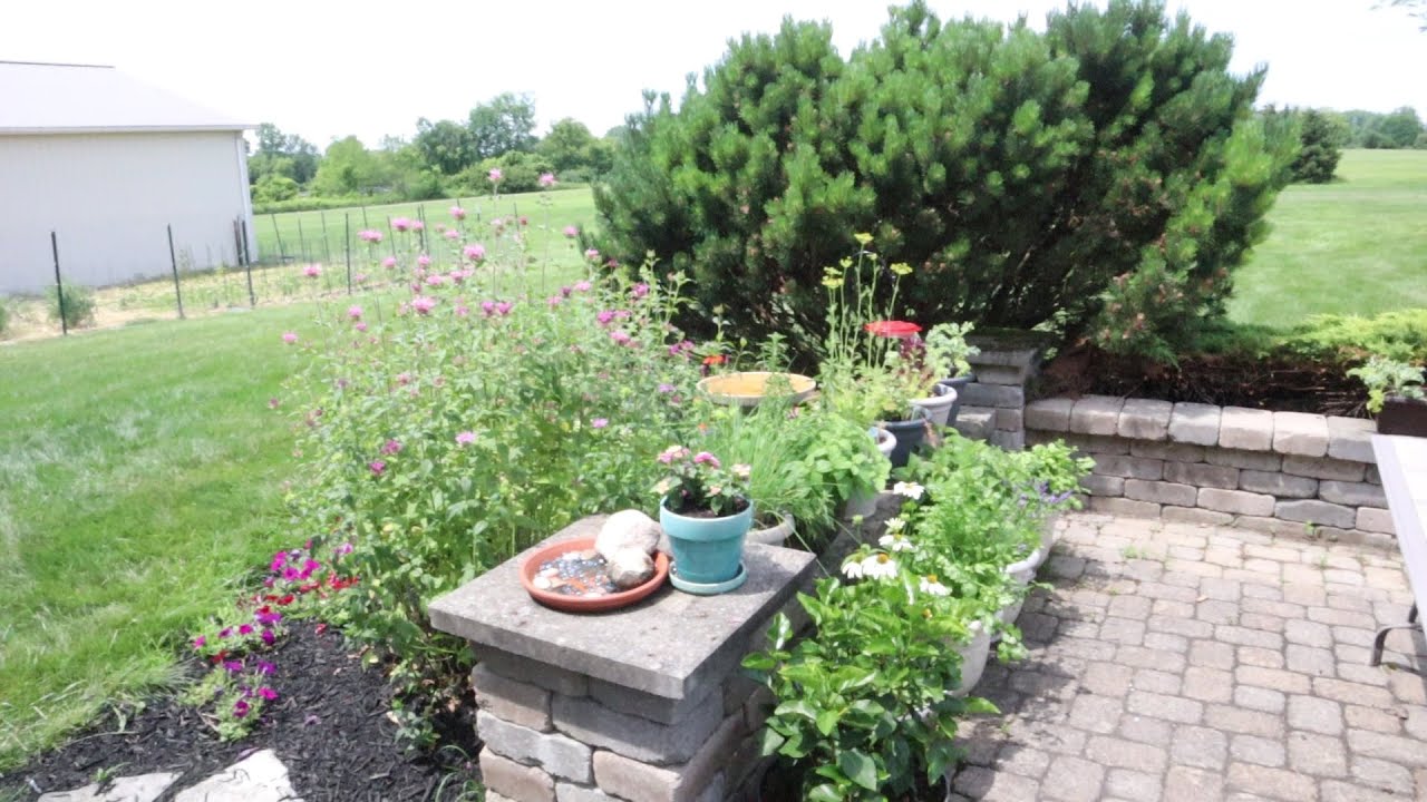 My Herb, Tea, and Pollinator Garden ~ Herb Butter ~ Herb Infusions ~ Fun Ways to Preserve Herbs
