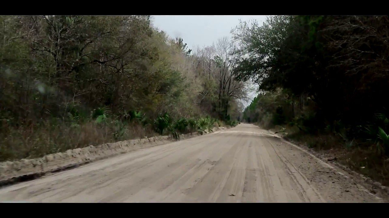 Dirt Road Dixie County Florida YouTube