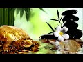 According to Feng Shui the turtle brings luck, longevity, serenity and career success