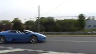 Bams Lambo