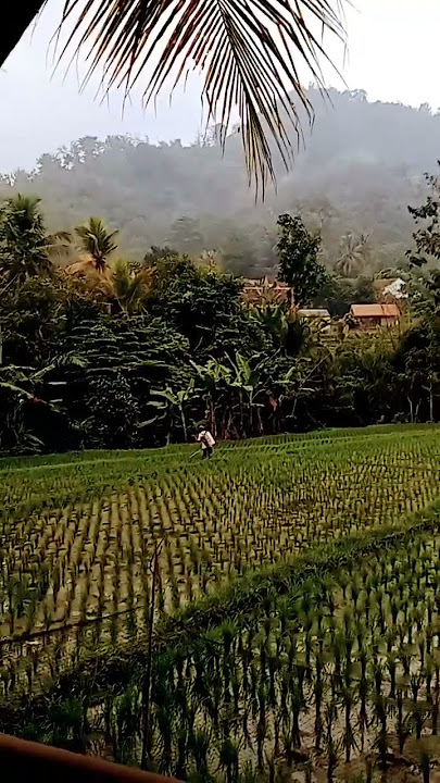 selamat siang Baraya selamat aktivitas jangan lupa di kopian dlu☕#dilembur