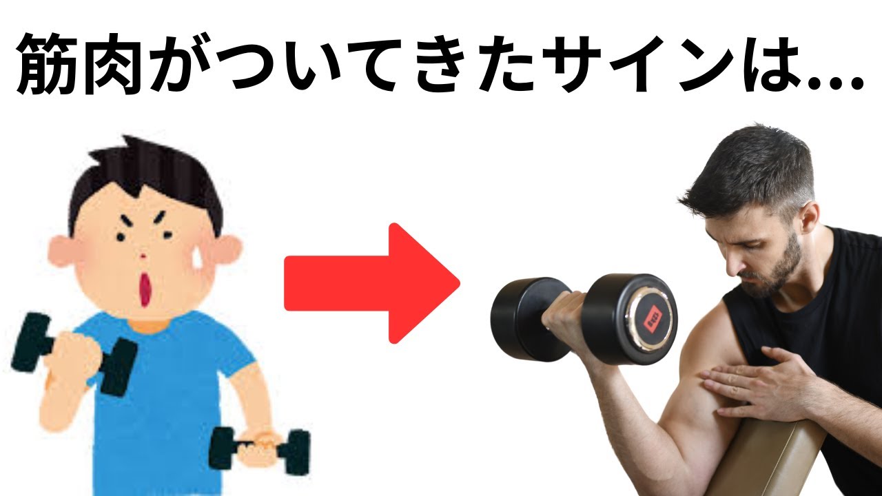 【知って得する】筋肉がついてきたサイン