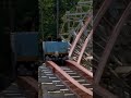 Twisted Timbers