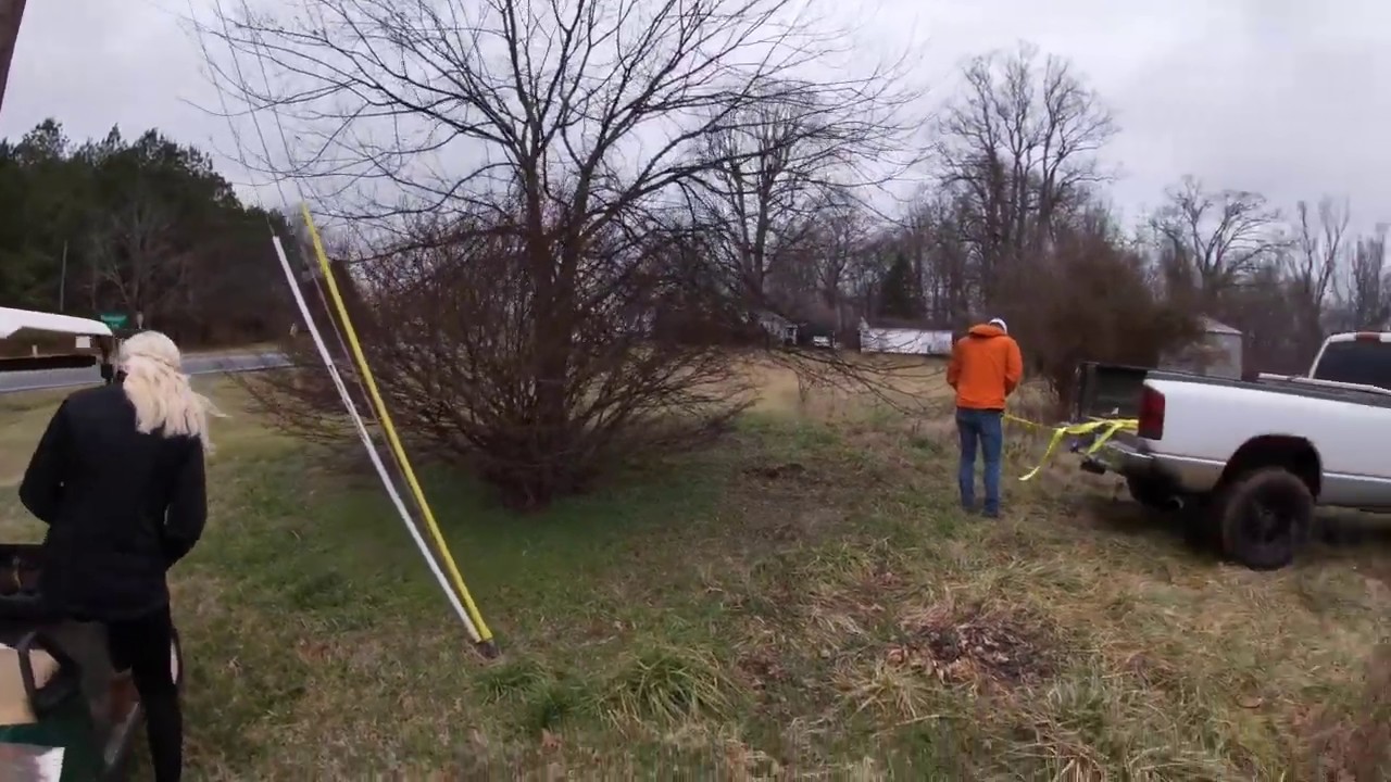 Pulling a tree out with a Dodge Cummins Pickup Truck - YouTube
