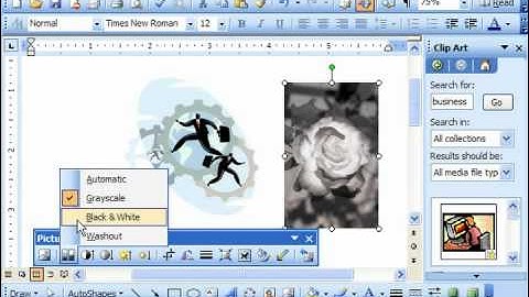 Word 2003 Tutorial The Picture Toolbar Microsoft Office Training Lesson 13.5