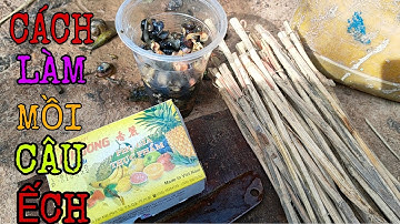 Cách Làm Mồi Và Cách Cắm Câu Ếch Đơn Giản Nhất || Học vlog