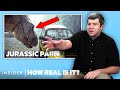 Paleontologist rates 10 dinosaur scenes in movies and tv  how real is it  insider